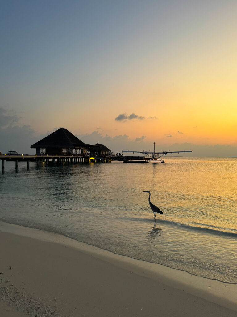 Six Senses Kanuhura | Maldives